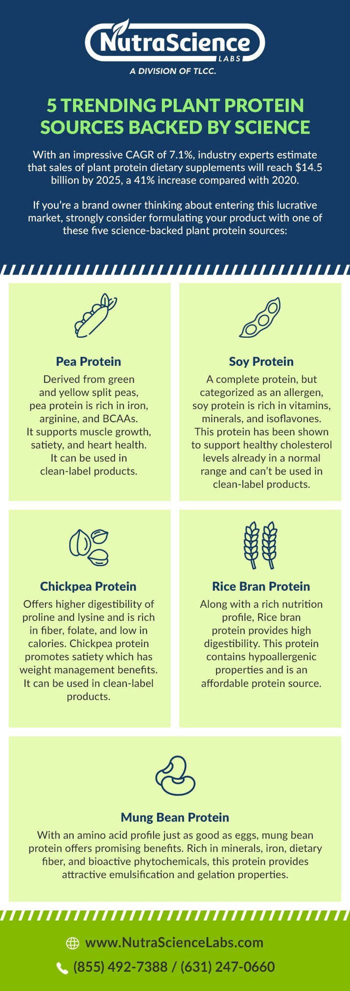 Plant-Based Protein Market – Trends, Opportunities, and Challenges